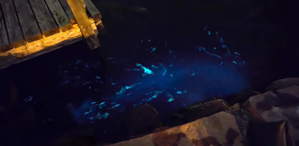 Welcome to Code Review